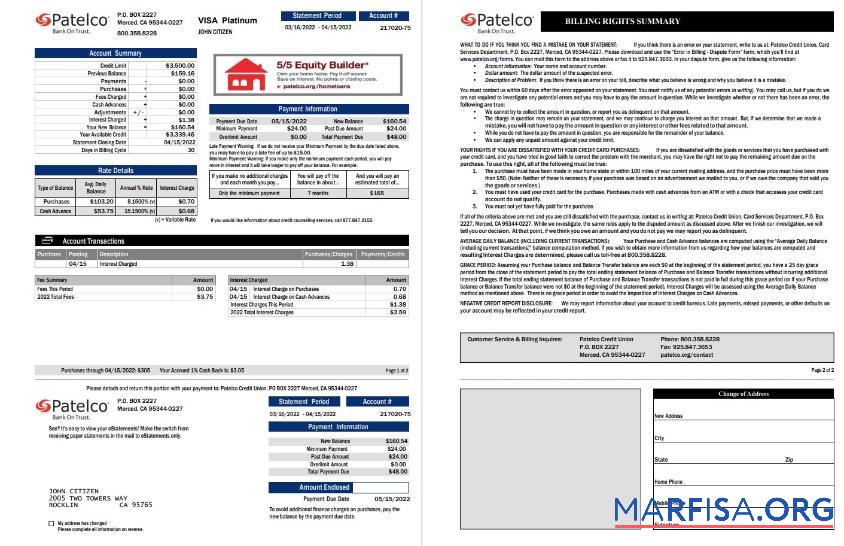Downloadable USA California Patelco bank card statement word 2 pages example